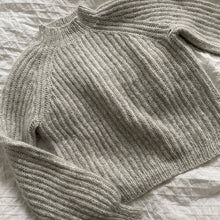 Load image into Gallery viewer, Northbound Sweater